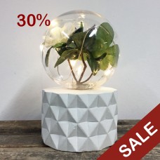 Plant Lamp - Flower Bulb with Facet Base