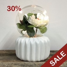 Plant Lamp - Flower Bulb - Ribbed Base